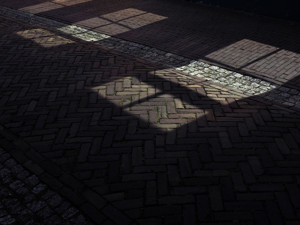 Wikkerink, Dinie